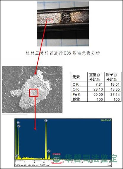 正常點EDS圖