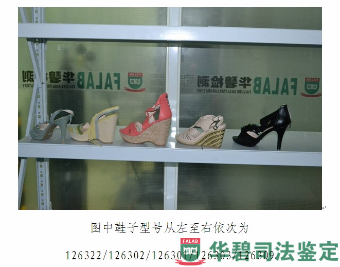 圖1:樣品外觀照片