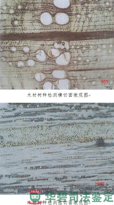實(shí)驗(yàn)室檢測結(jié)果圖片(續(xù))