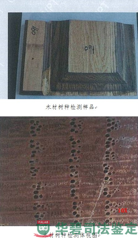 實(shí)驗(yàn)室檢測結(jié)果圖片
