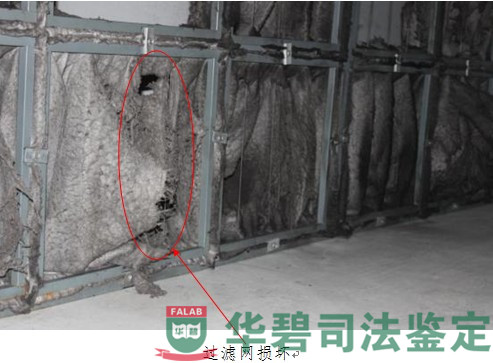 圖5 整體勘驗代表性圖片